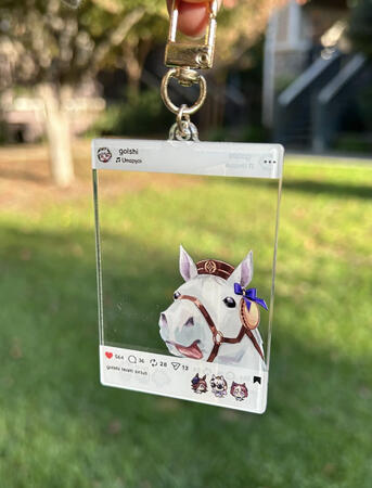 golshi umastagram charm