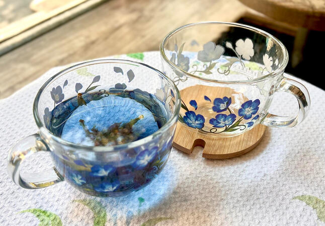 frieren glass cup