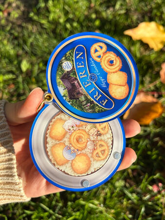 frieren mage cookies